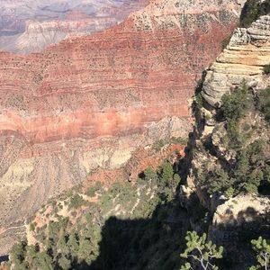 Meet your Posher, Steven